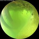 ./images/calvert/underwater/20260811/underwater20260811_124502M.jpg