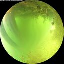 ./images/calvert/underwater/20260811/underwater20260811_125502M.jpg