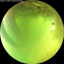 ./images/calvert/underwater/20260811/underwater20260811_130002M.jpg