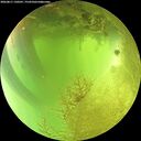 ./images/calvert/underwater/20260811/underwater20260811_130501M.jpg