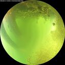 ./images/calvert/underwater/20260811/underwater20260811_131001M.jpg