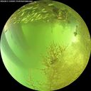 ./images/calvert/underwater/20260811/underwater20260811_132001M.jpg