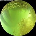 ./images/calvert/underwater/20260811/underwater20260811_133001M.jpg