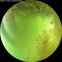 ./images/calvert/underwater/20260811/underwater20260811_134002M.jpg