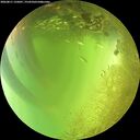 ./images/calvert/underwater/20260811/underwater20260811_135001M.jpg