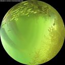 ./images/calvert/underwater/20260811/underwater20260811_135502M.jpg