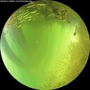 ./images/calvert/underwater/20260811/underwater20260811_140002M.jpg