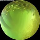 ./images/calvert/underwater/20260811/underwater20260811_140501M.jpg