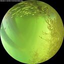 ./images/calvert/underwater/20260811/underwater20260811_142501M.jpg
