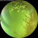 ./images/calvert/underwater/20260811/underwater20260811_143001M.jpg