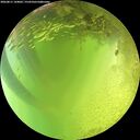 ./images/calvert/underwater/20260811/underwater20260811_144001M.jpg