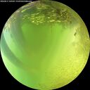 ./images/calvert/underwater/20260811/underwater20260811_144502M.jpg