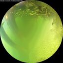 ./images/calvert/underwater/20260811/underwater20260811_145501M.jpg