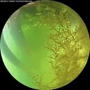 ./images/calvert/underwater/20260811/underwater20260811_150001M.jpg