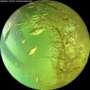 ./images/calvert/underwater/20260811/underwater20260811_150501M.jpg