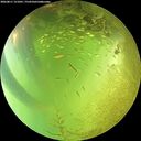 ./images/calvert/underwater/20260811/underwater20260811_151001M.jpg