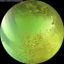 ./images/calvert/underwater/20260811/underwater20260811_154501M.jpg