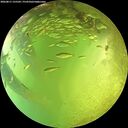 ./images/calvert/underwater/20260811/underwater20260811_155501M.jpg