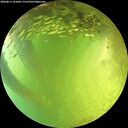 ./images/calvert/underwater/20260811/underwater20260811_161001M.jpg