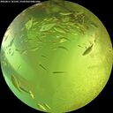 ./images/calvert/underwater/20260811/underwater20260811_161501M.jpg