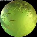 ./images/calvert/underwater/20260811/underwater20260811_162001M.jpg
