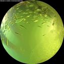 ./images/calvert/underwater/20260811/underwater20260811_163001M.jpg