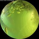./images/calvert/underwater/20260811/underwater20260811_164001M.jpg