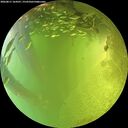 ./images/calvert/underwater/20260811/underwater20260811_164501M.jpg