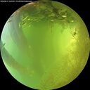 ./images/calvert/underwater/20260811/underwater20260811_165501M.jpg