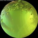 ./images/calvert/underwater/20260811/underwater20260811_170001M.jpg