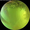 ./images/calvert/underwater/20260811/underwater20260811_170502M.jpg