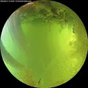 ./images/calvert/underwater/20260811/underwater20260811_171001M.jpg