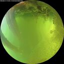 ./images/calvert/underwater/20260811/underwater20260811_171501M.jpg