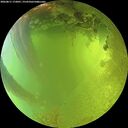 ./images/calvert/underwater/20260811/underwater20260811_172001M.jpg