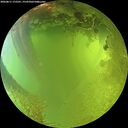 ./images/calvert/underwater/20260811/underwater20260811_172501M.jpg