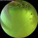 ./images/calvert/underwater/20260811/underwater20260811_173001M.jpg