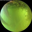 ./images/calvert/underwater/20260811/underwater20260811_173501M.jpg