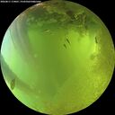 ./images/calvert/underwater/20260811/underwater20260811_174001M.jpg