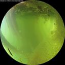 ./images/calvert/underwater/20260811/underwater20260811_174501M.jpg