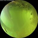 ./images/calvert/underwater/20260811/underwater20260811_175001M.jpg