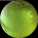 ./images/calvert/underwater/20260811/underwater20260811_180001M.jpg