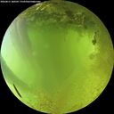 ./images/calvert/underwater/20260811/underwater20260811_180501M.jpg