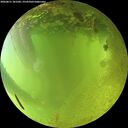 ./images/calvert/underwater/20260811/underwater20260811_181502M.jpg