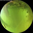 ./images/calvert/underwater/20260811/underwater20260811_182001M.jpg
