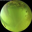 ./images/calvert/underwater/20260811/underwater20260811_183002M.jpg