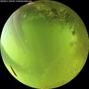 ./images/calvert/underwater/20260811/underwater20260811_183501M.jpg