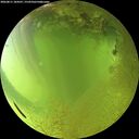 ./images/calvert/underwater/20260811/underwater20260811_184501M.jpg