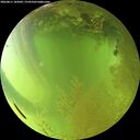 ./images/calvert/underwater/20260811/underwater20260811_185001M.jpg