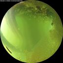 ./images/calvert/underwater/20260811/underwater20260811_190001M.jpg