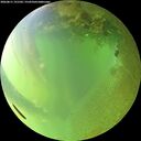 ./images/calvert/underwater/20260811/underwater20260811_191501M.jpg